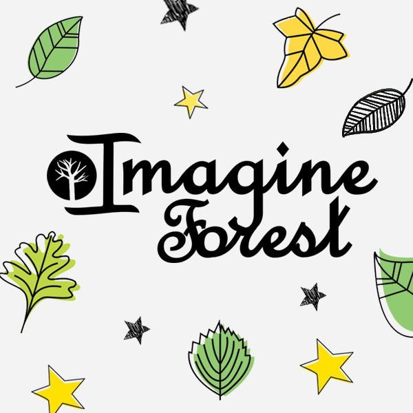 Imagine Forest project_safia begum_birmingham_content creator