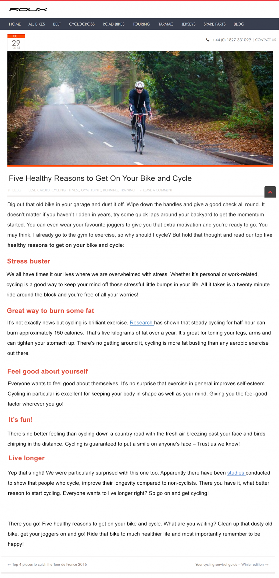 roux bikes project_blog post example