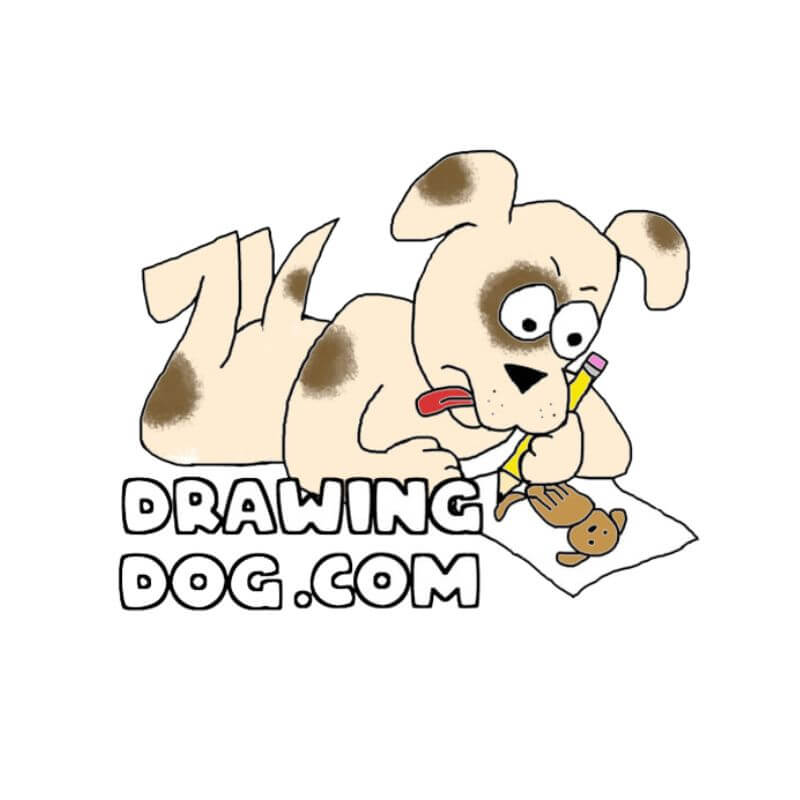 Branding